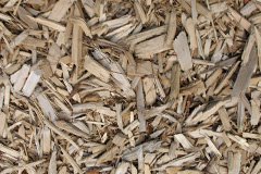 biomass boilers Bareppa