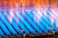 Bareppa gas fired boilers